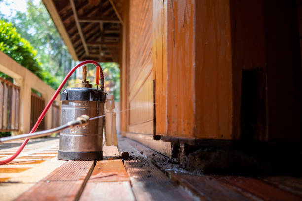 Best Pest Prevention Services  in Pine Lakes, FL